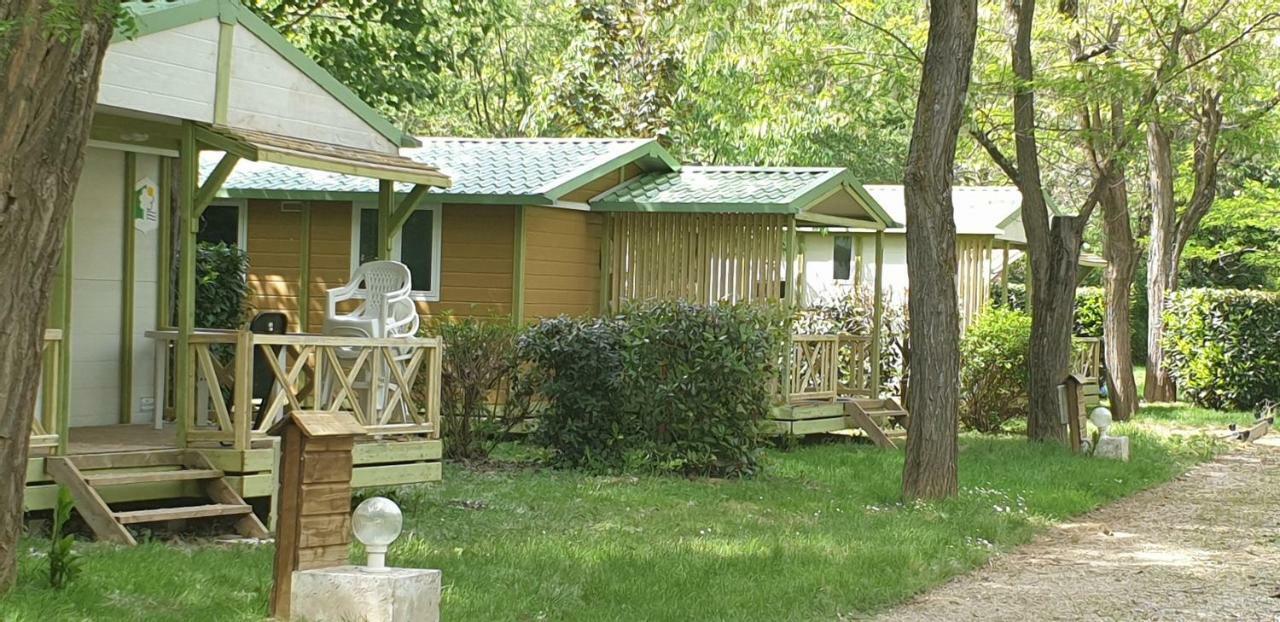 Camping Avec Piscine Et Riviere A Tournon Sur Rhone Ardeche Ngoại thất bức ảnh